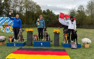 SV-Meisterin Obedience 2026 kommt aus Württemberg